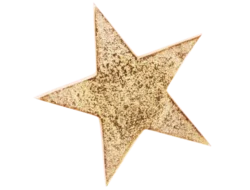 A sparkly gold star.