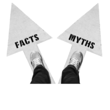 someone standing on two painted arrows, one that says facts and another that says myths