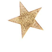 A sparkly gold star.
